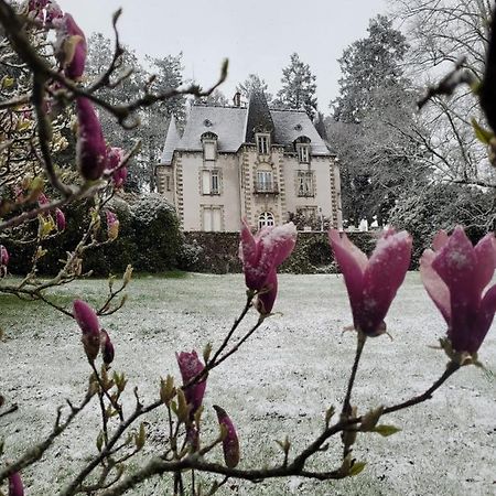Bed and Breakfast Chateau Maleplane Сен-Леонар-де-Нобла Экстерьер фото