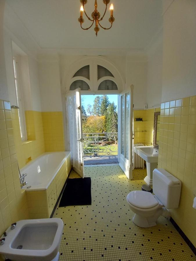 Bed and Breakfast Chateau Maleplane Сен-Леонар-де-Нобла Экстерьер фото
